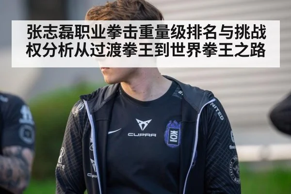 张志磊职业拳击重量级排名与挑战权分析从过渡拳王到世界拳王之路